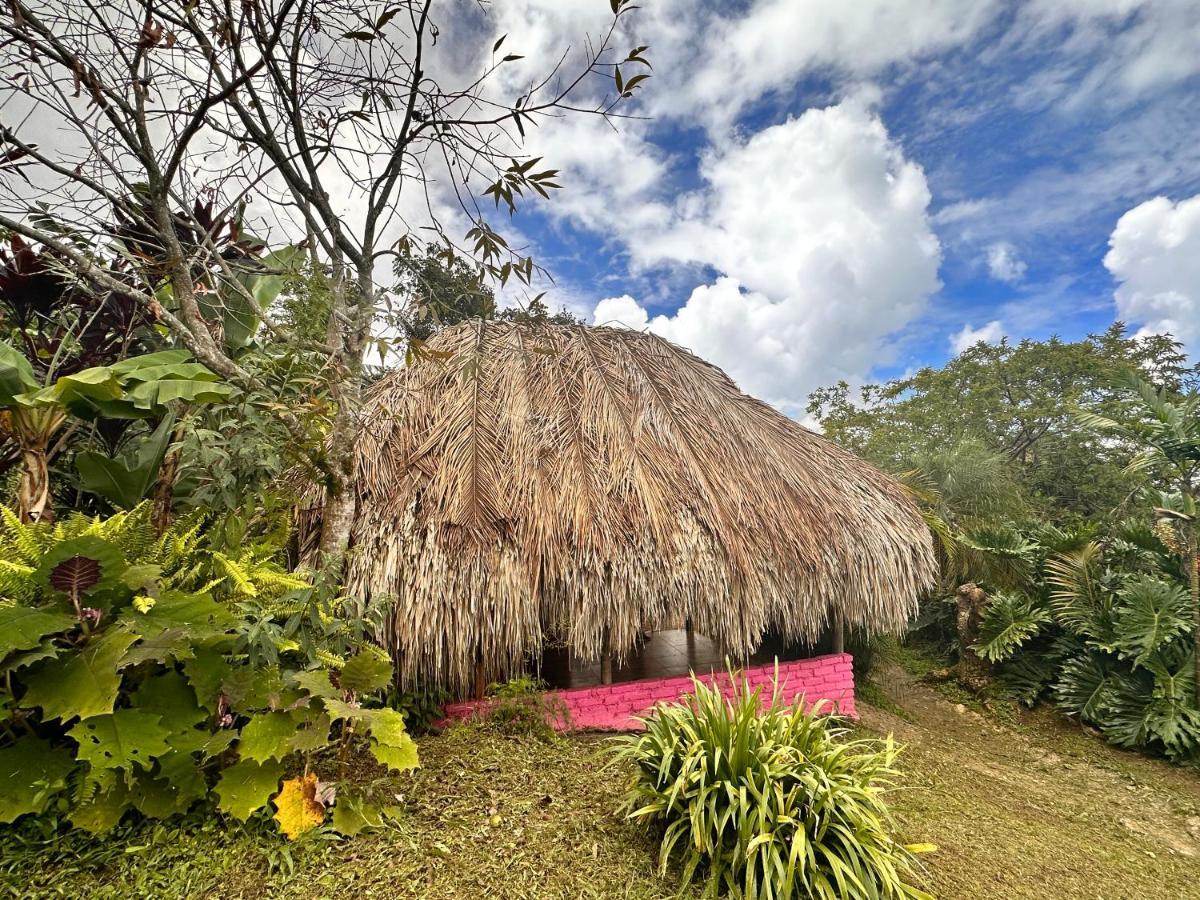 Sierra Alta Finca Boutique Vila Minca Exterior foto